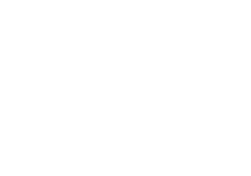 champion implements